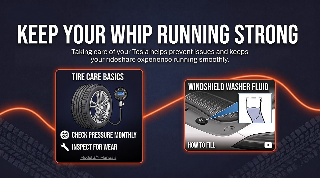 Keep Your Whip Running Strong